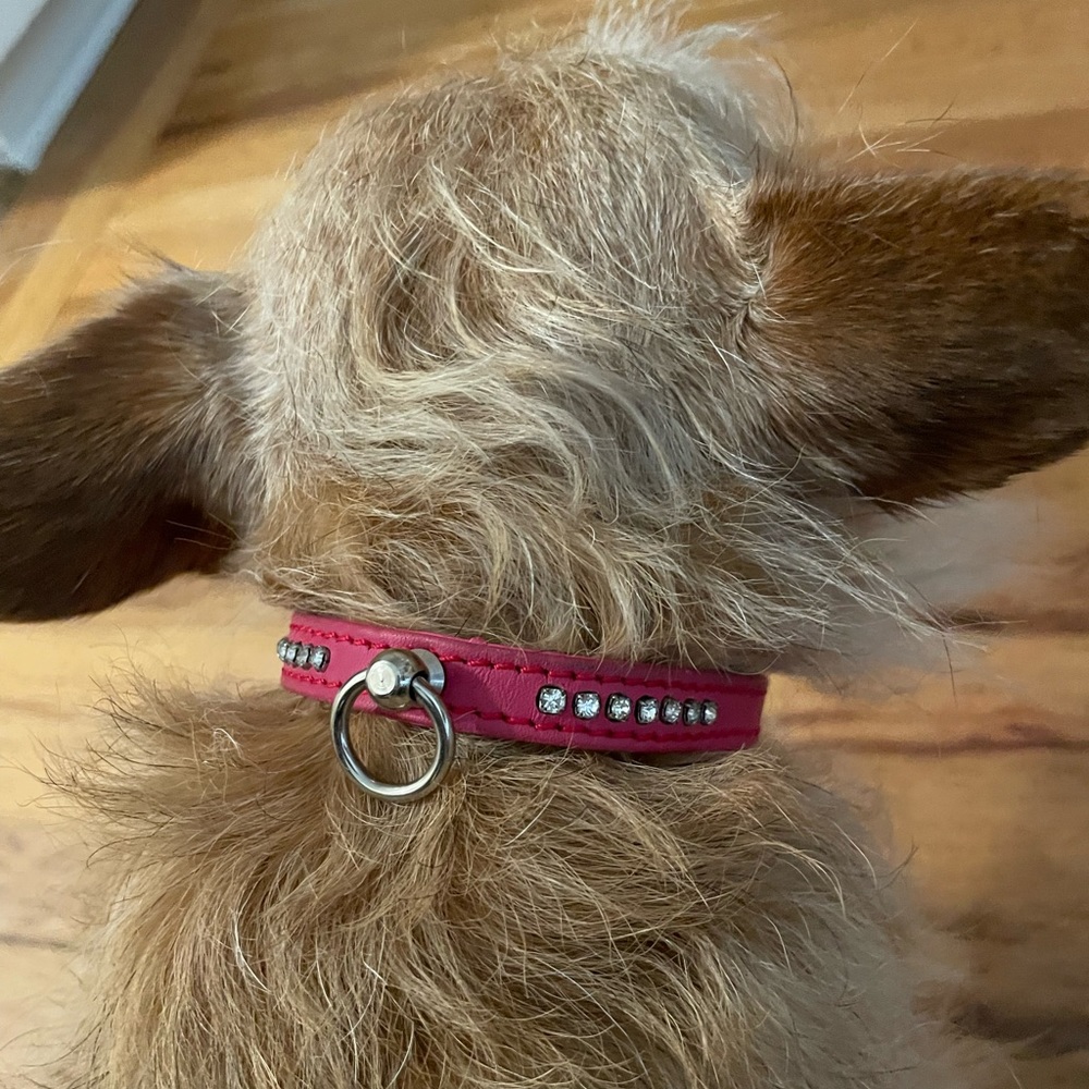 Hot Pink Rhinestone Dog Collar. 10-12”